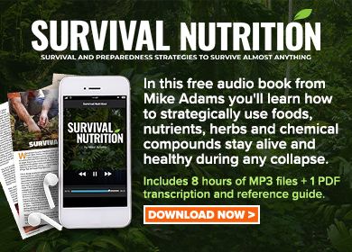 Survival Nutrition